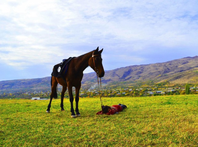 HORSE RIDING IN “AYRUDZI”…